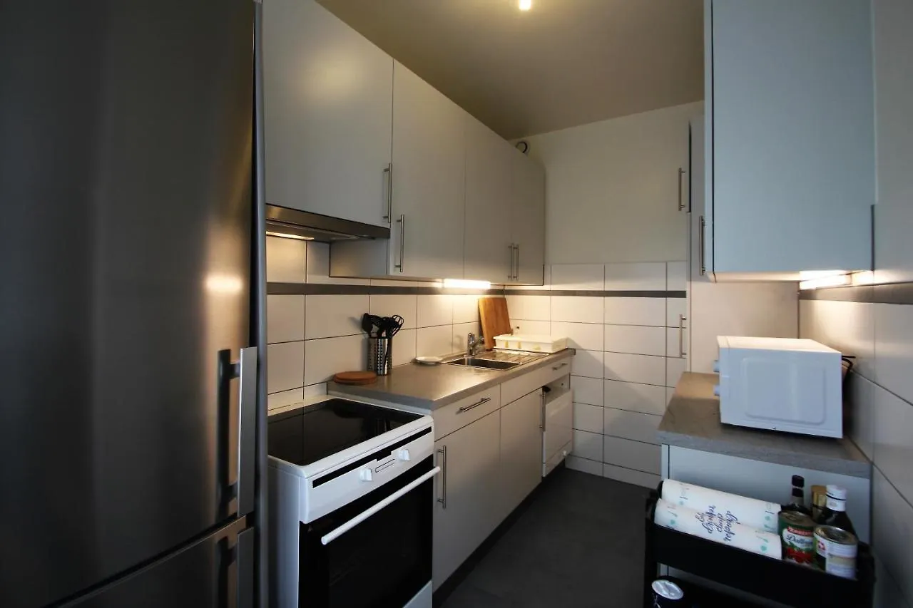 Spacious Apartment In Servette Genève